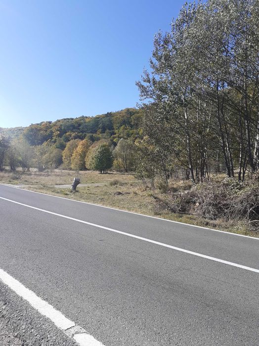 Casa  teren intravilan  Poiana Sărată