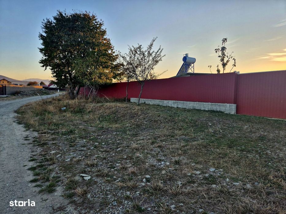 Teren intravilan 1450 mp, construibil Carpinis, zona de case
