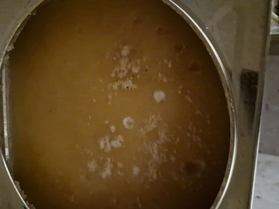 Пчелен билков мед 2025г. Безплатна доставка за Плевен