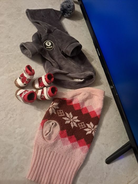 Одежда для собак бу