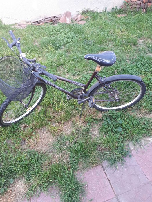 Vand bicicleta dama hauser