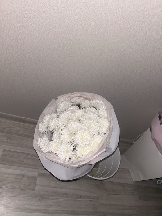 Свежие и красивые цветы