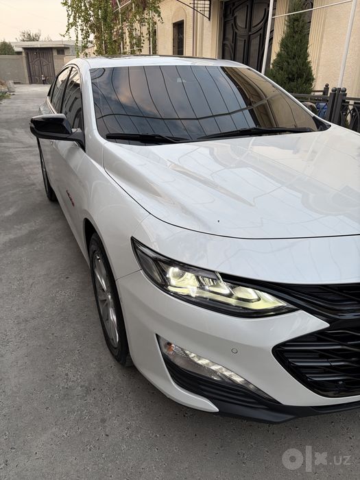 Malibu 2 XL Beliy Jemchug o