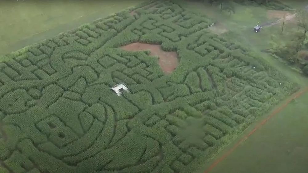 Озеленение. Ландшафтный дизайн.  Благоустройство территорий.