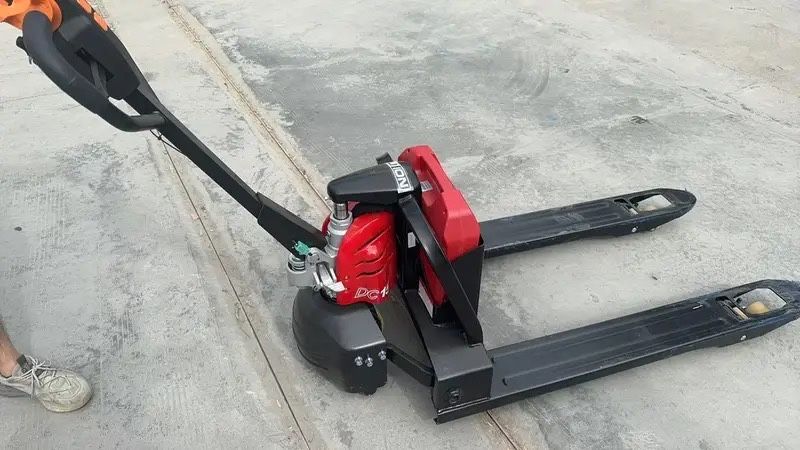 Рохля электрическая