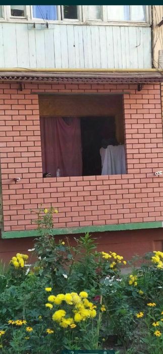 Балконга гишт терамиз