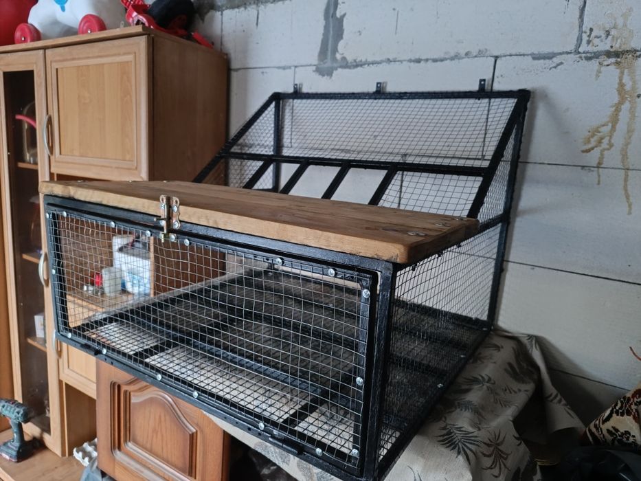 Intrare porumbei sputnic