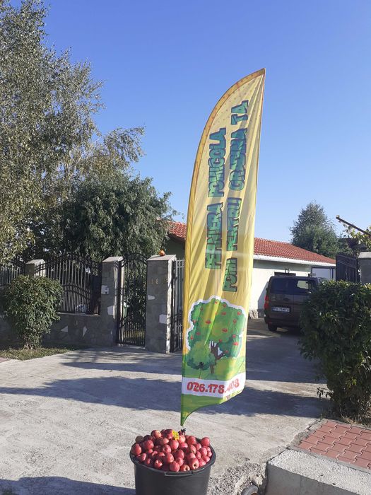 pomi fructiferi la balot intrati pe rod