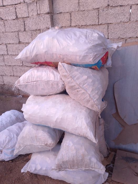 Otin quruq qoplangan