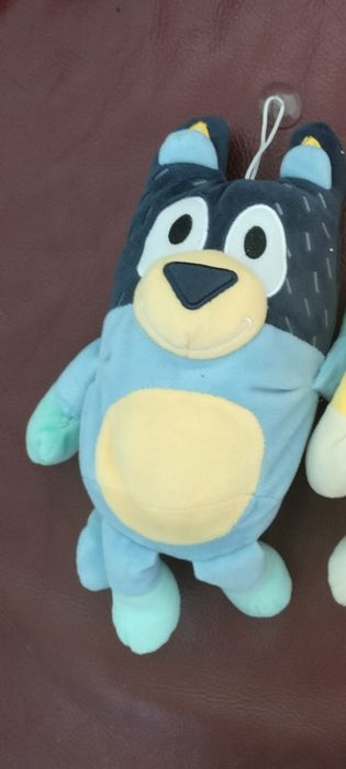 Vând acest plus ,pt noi nu mai prezintă interes