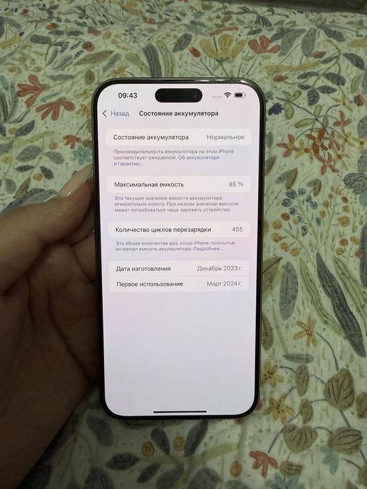 iPhone 15 Pro Max 256 GB Natural Titanium