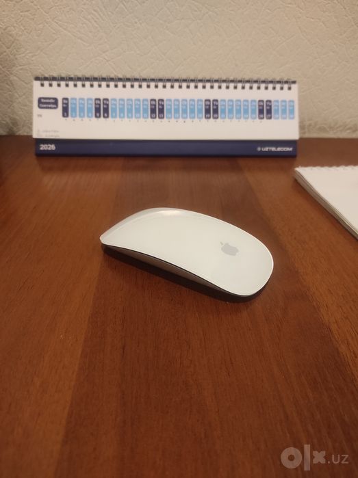 Apple Magic Mouse 1