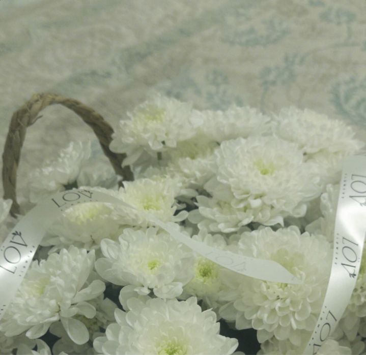 цветы хризантема