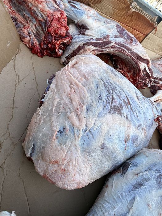 кашар 3500 тг кг