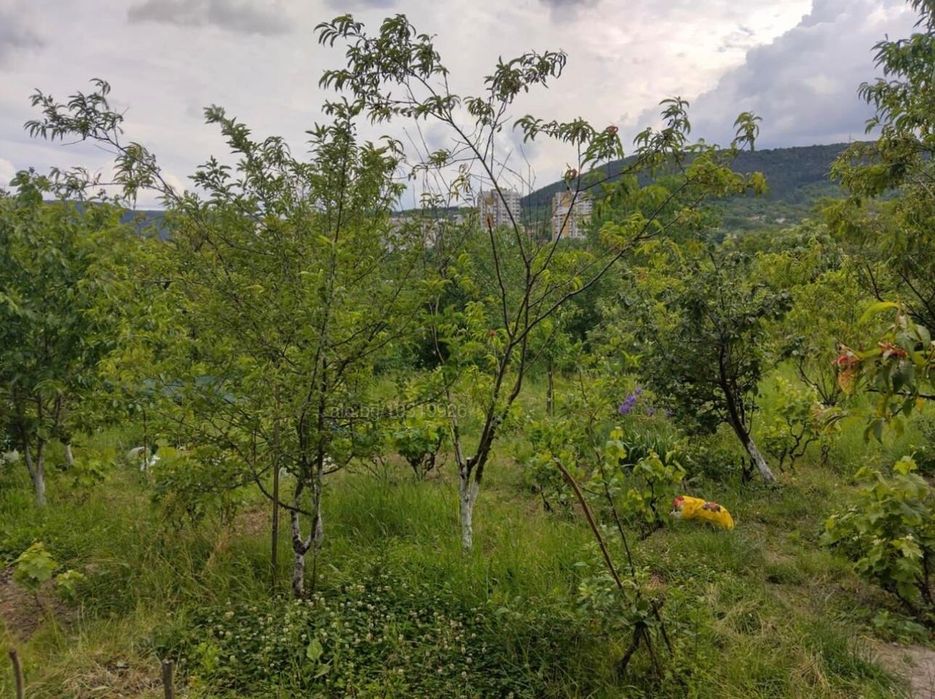 Парцел с дървена къща за земеделие и отдих в Шумен – Топхането