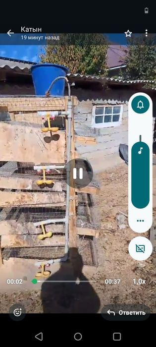 Клетка для перепелки