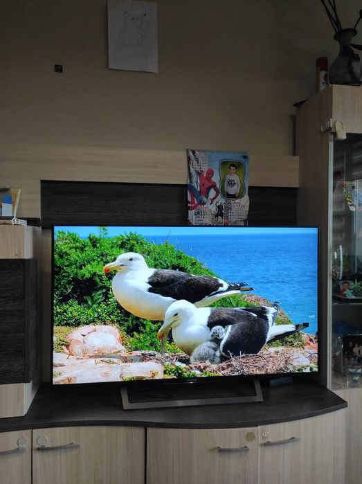 Смарт Телевизор SONY BRAVIA 49 инча
