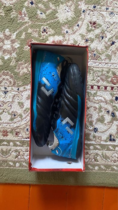 Сороконожки сатылады