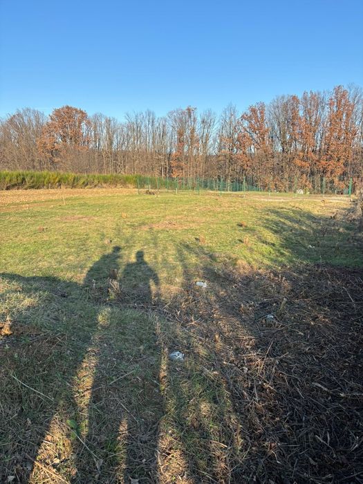 Vând Teren Moșoaia.