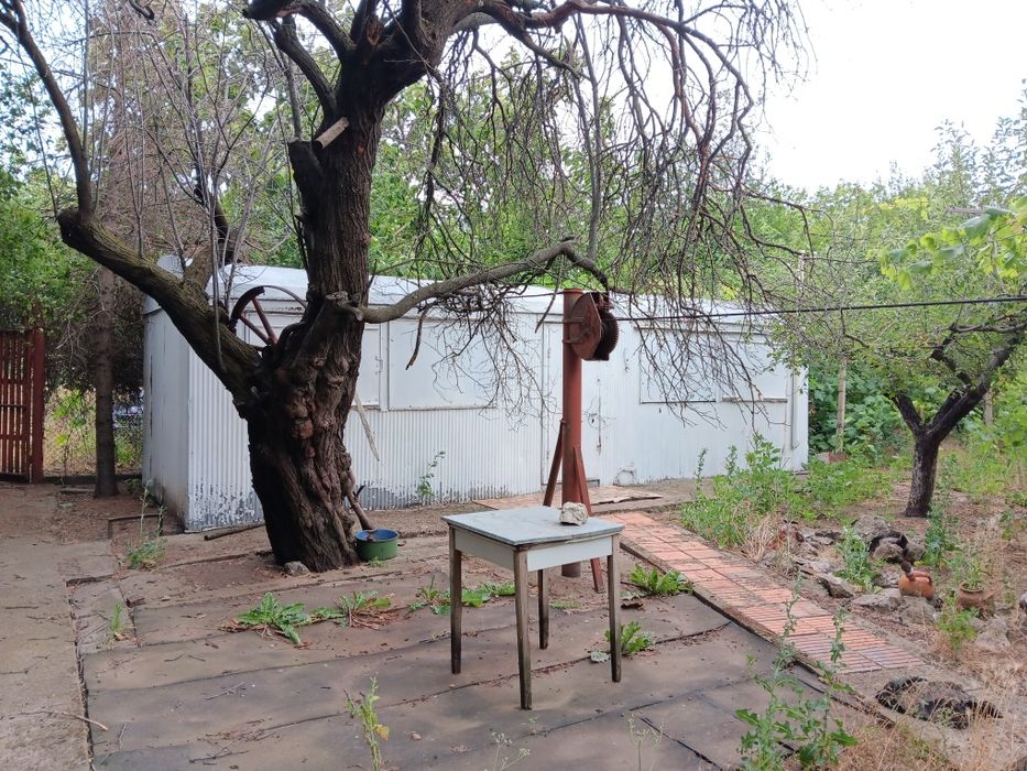 Продава се Парцел в с. Пелишат, Област Плевен - 1500 кв.м за 7 €/кв.м - Снимка #1