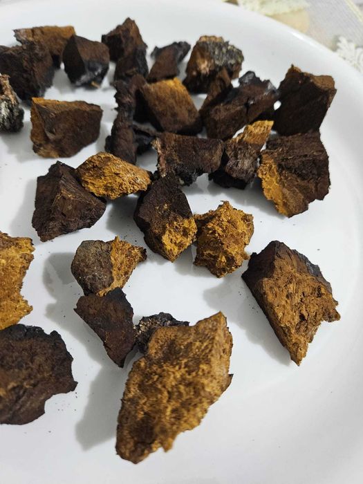 Ciupercă Chaga de mesteacan - 100% naturală, uscată, gata de utilizare