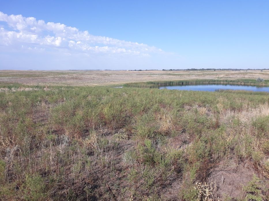 Продам участок (к/х, с/х)