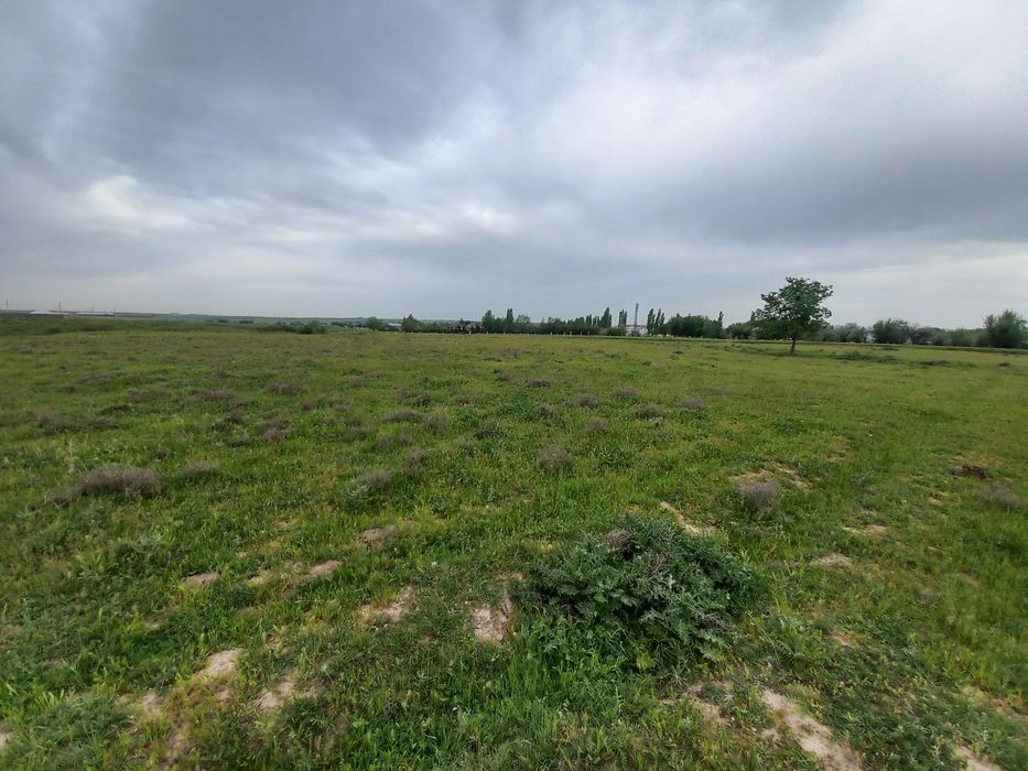 Земельный участок