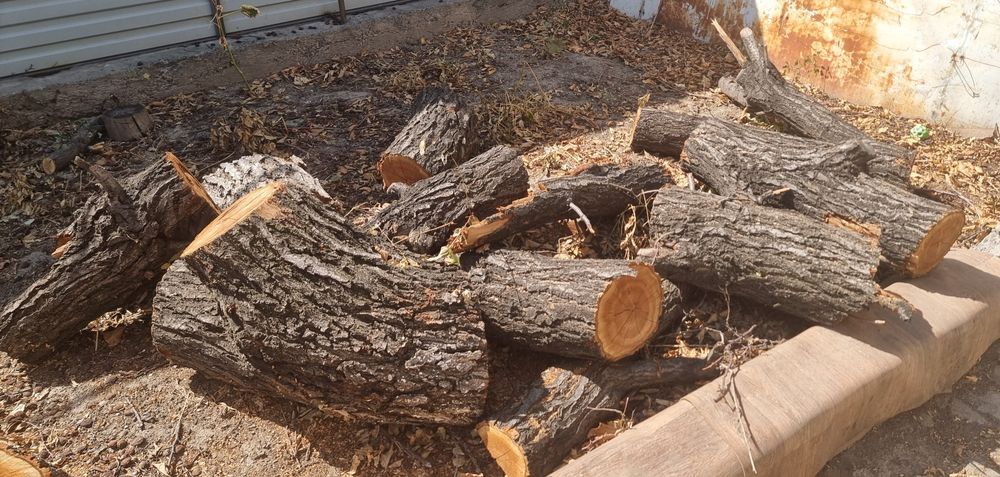 Продам все чурки, в центре города