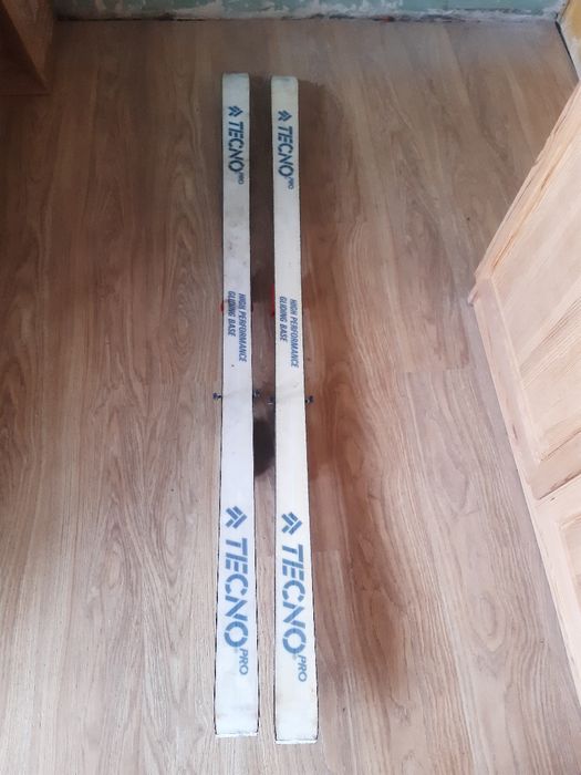 Зимни ски ползвани