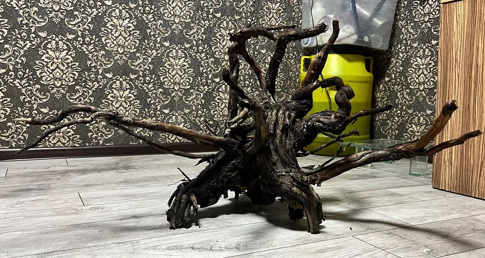 Коряга азалия в аквариум