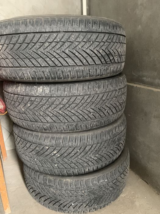 Rotalla balon holati yaxshi