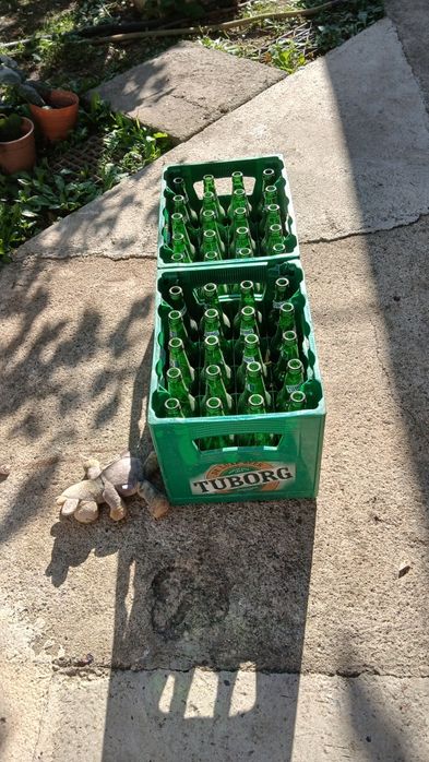 Vand 2 lăzi de tuborg