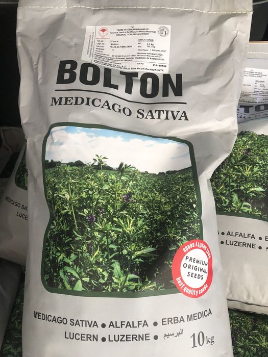 Beda urug’ беда уруг ОПТОМ. Oʻzbekiston va Turkiya