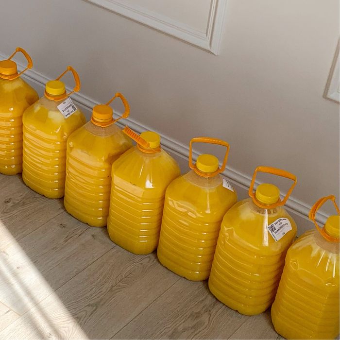 Қатон қарағай балы мед Катон Карагай