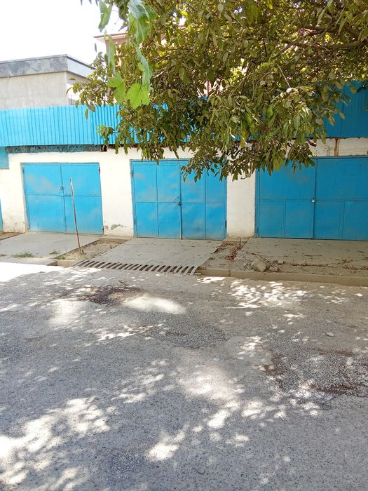 Назарбекда Уй срочно