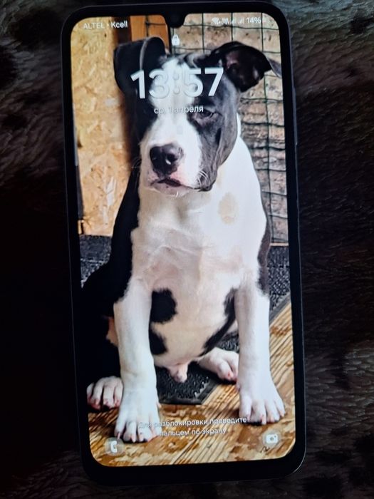 Продам телефон SAMSUNG