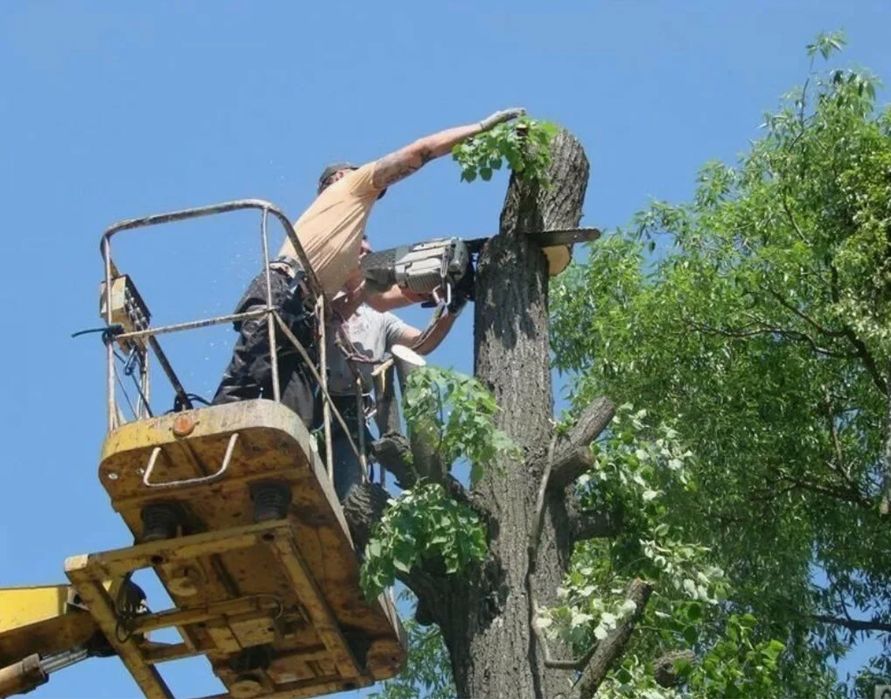Спил деревьев уборка територии