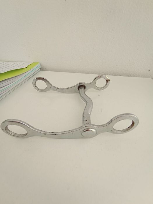 Strunea de vânzare, ea este făcută pentru ponei și poneițe neutilizată