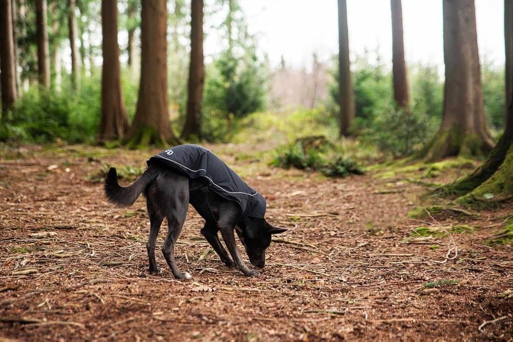 Дъждобран за кучета Mountain Paws, водоустойчив ветроустойчив,размер М