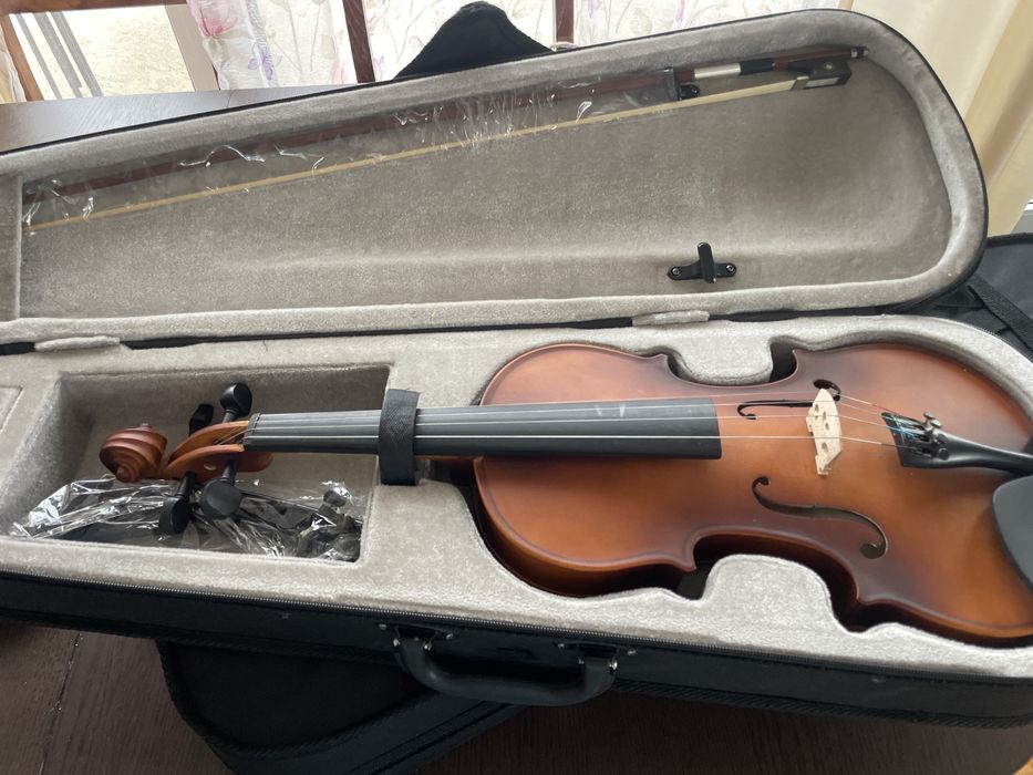 Vioara 4/4 mendini MV300