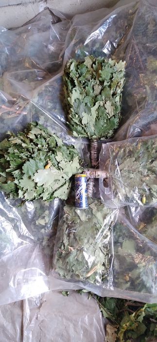 Веники дубовые !