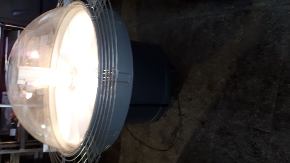 Студена витрина