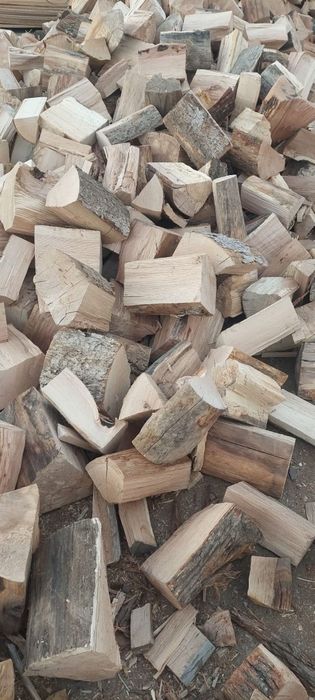 Lemne și deșeuri pentru foc