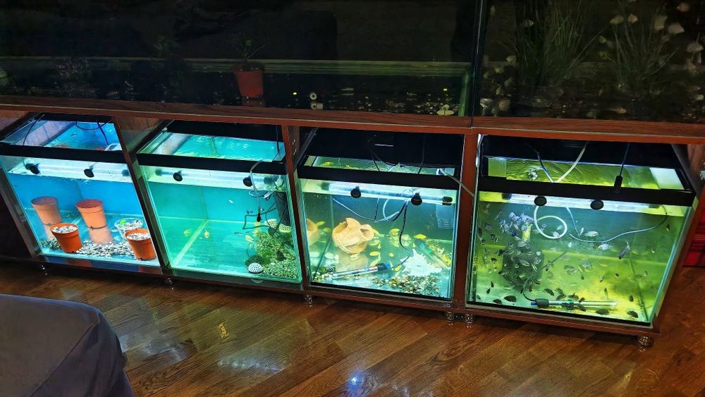 Продаются 4 аквариума. Размер 50*45*45.Можно в комплекте. Цена за 1 ак