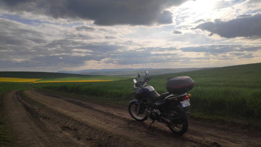 Motocicleta Suzuki Freewind XF 650
