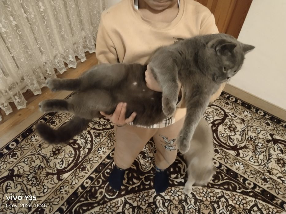 ‼️‼️ VYASKA ‼️‼️