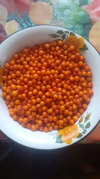 Продам яблочки, сливу, облепиху
