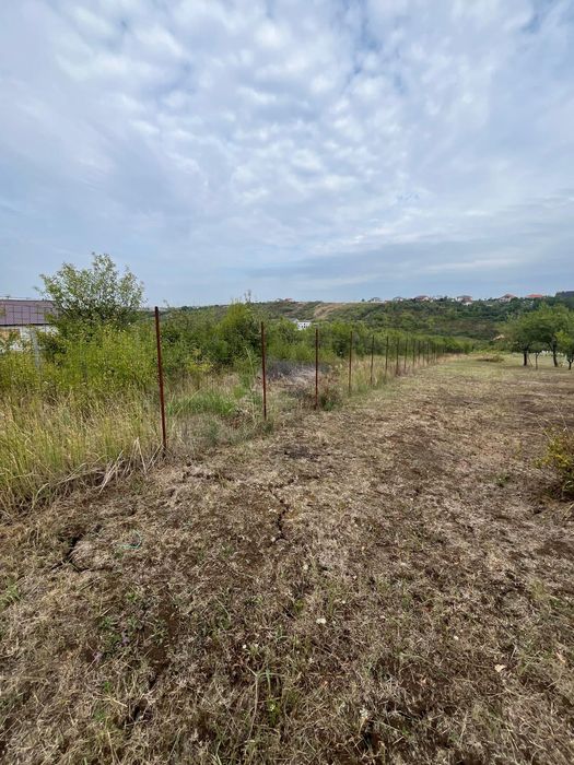 Vând URGENT teren intravilan 1000 mp str Livezilor