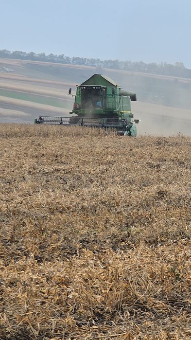 Vând soia la 2,5 lei