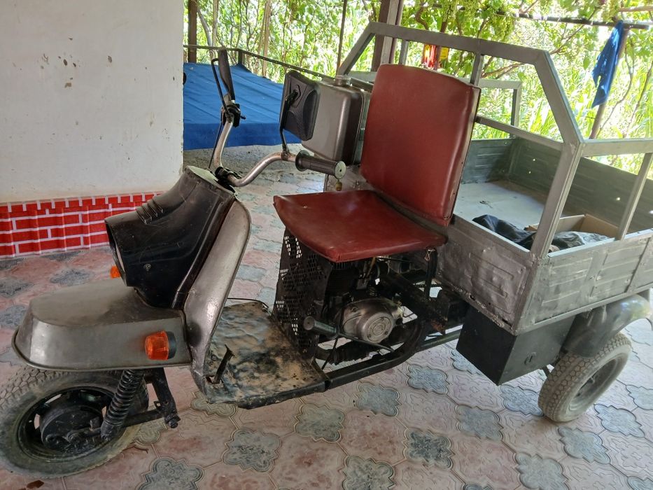 Муравей в хорошем состоянии